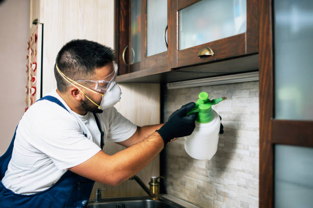 Trusted Summit, WA Pest Control Experts