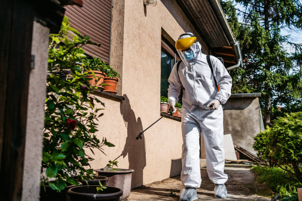 Best Exterminator Services  in Summit, WA
