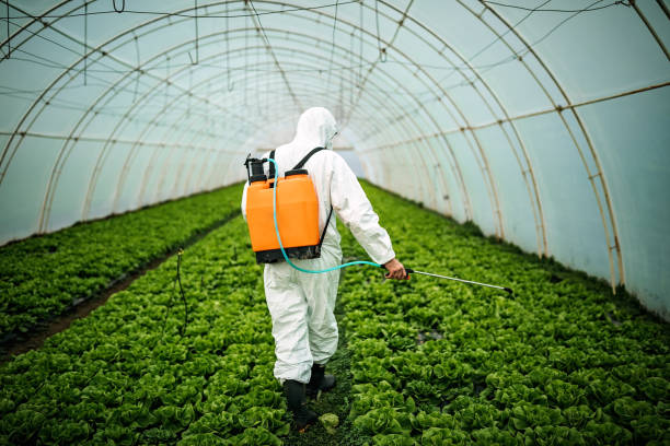 Best Pest Control Near Me  in Summit, WA