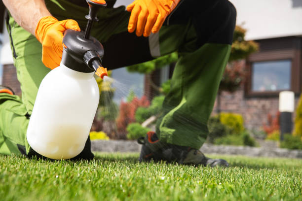 Best Wildlife Control Services  in Summit, WA