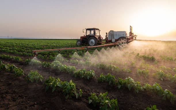 Insect Control in Summit, WA