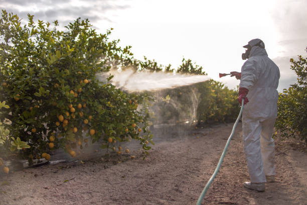 Wildlife Control Services in Summit, WA