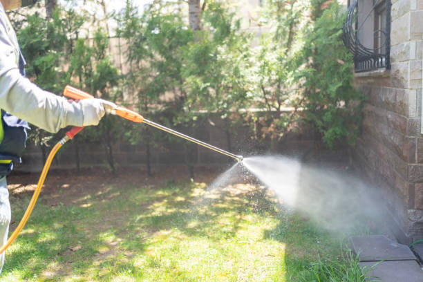 Best Emergency Pest Control  in Summit, WA