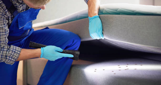 Best Rat Extermination Near Me  in Summit, WA