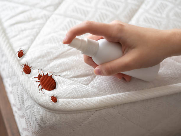 Best Residential Pest Control  in Summit, WA